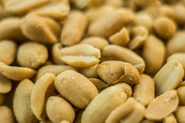 Fıstık fotoğraf tohumları