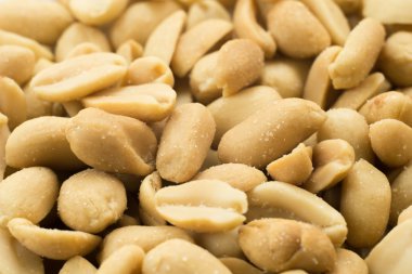 Fıstık fotoğraf tohumları