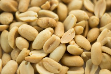 Fıstık fotoğraf tohumları