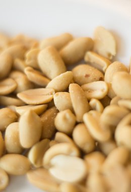 Fıstık fotoğraf tohumları