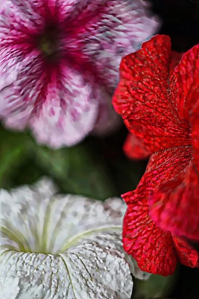 Fiori di prato selvatico. Pittura d'arte digitale da foto. Grandi colpi artistici quando lo zoom . — Foto Stock