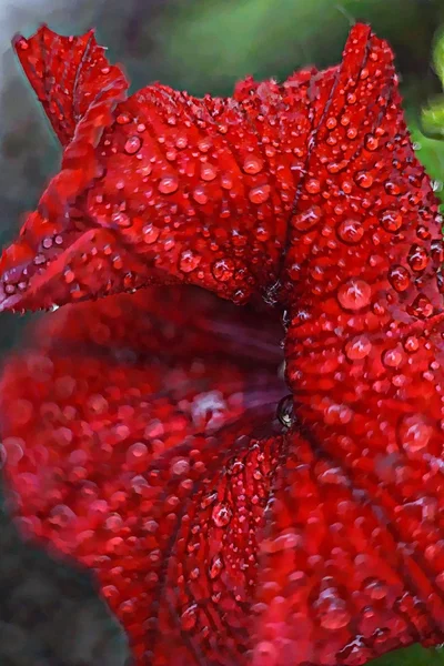 Fiori di prato selvatico. Pittura d'arte digitale da foto. Grandi colpi artistici quando lo zoom . — Foto Stock