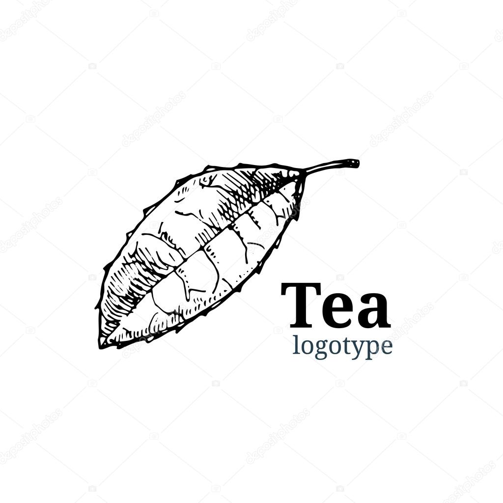 Tea leaf logo vector illustration