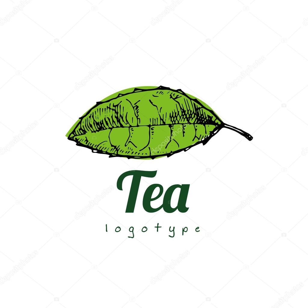 Tea leaf logo vector illustration
