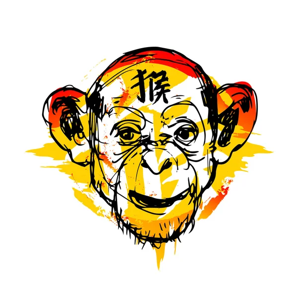 Monkey illustration vektor — Stock vektor