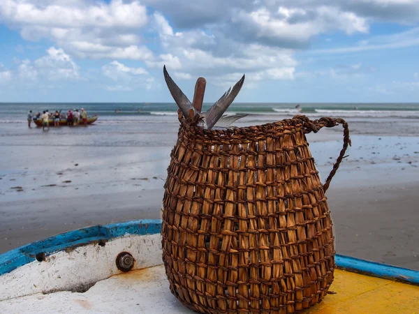 Verse vis in een mand — Stockfoto