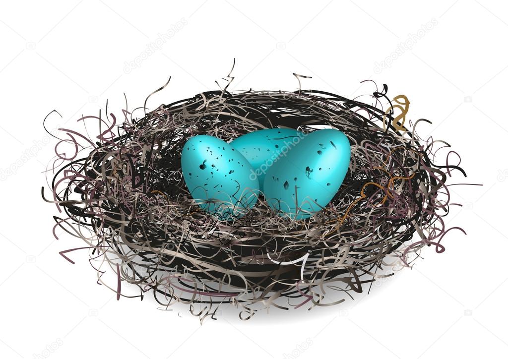 Robins nest Stock Vector by ©irmakakcadogan 65715051
