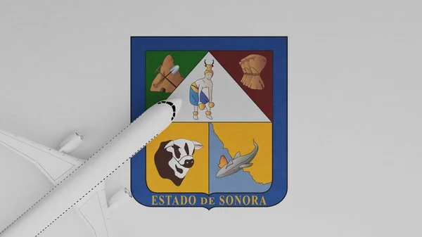 Felülnézetből Egy Sík Sarokban Tetején Zászló Sonora — Stock Fotó