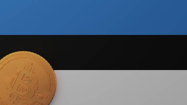 Estonya Bayrağının Sol Altında Altın Bitcoin
