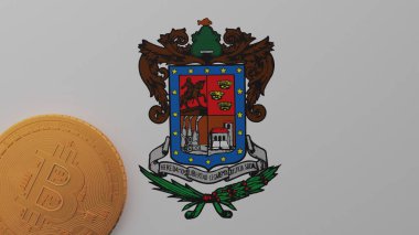 Michoacan Bayrağının Sol Altında Altın Bitcoin