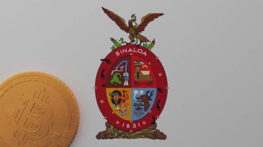 Sinaloa Bayrağının Sol Altında Altın Bitcoin