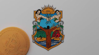 Baja California bayrağının sol alt köşesinde altın Bitcoin