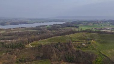Sinema insansız hava aracı yörüngesi görüntüleri, arka planda Candia Gölü manzaralı bir tepenin üzerindeki geleneksel pergola üzüm bağlarını gösteriyor. İtalya 'nın Piedmont bölgesindeki Canavese bölgesinde ilkbahar başları tarım arazisi.