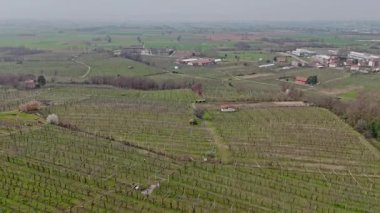 Piedmont 'taki Canavese bölgesinde geleneksel pergola eğitim sistemine sahip büyük bir üzüm bağının yüksek açılı hava manzarası. Erken dönem bahar manzarası, hareketsiz sarmaşıklar, kırsal evler, ve bulutlu bir gökyüzünün altında tarım alanları..