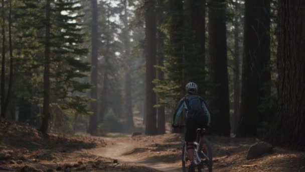 Um ciclista de montanha monta em uma floresta — Vídeo de Stock