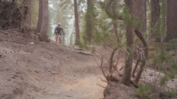 Un VTT roule sur un chemin de terre dans une forêt — Video