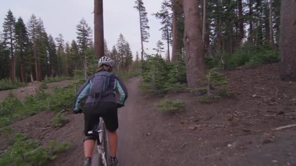 Ποδηλασίας βουνού, ιππασία σε ένα χωμάτινο μονοπάτι μέσα από ένα δάσος — Αρχείο Βίντεο
