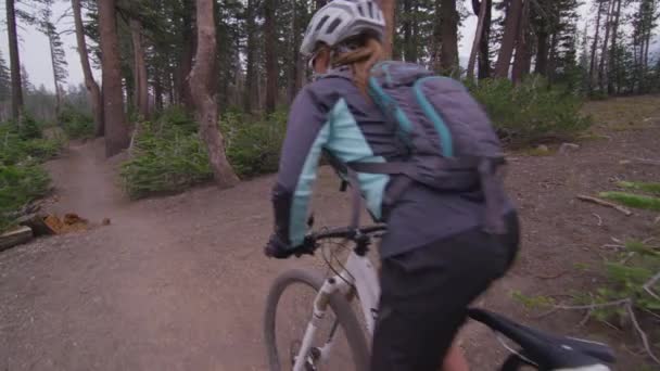 Mountain bike a cavallo su un sentiero sterrato attraverso un bosco — Video Stock