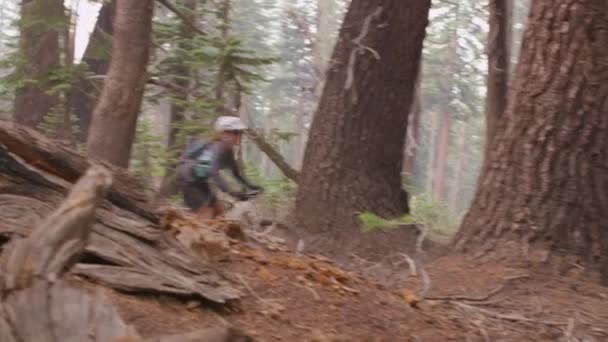 Mountain bikers race on a path through a forest — Stock Video