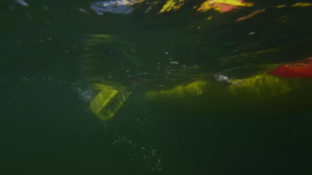 Onderwater weergave van de roeiriemen trekken door het water — Stockvideo