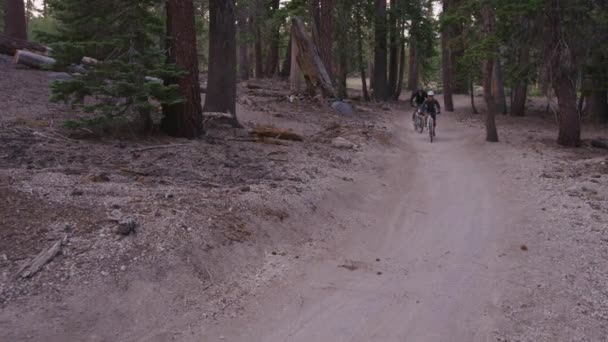 Ποδηλάτες βουνού βόλτα μέσα από ένα δάσος — Αρχείο Βίντεο