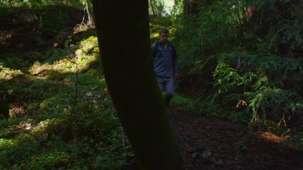 Una coppia corre lungo un sentiero in una foresta — Video Stock