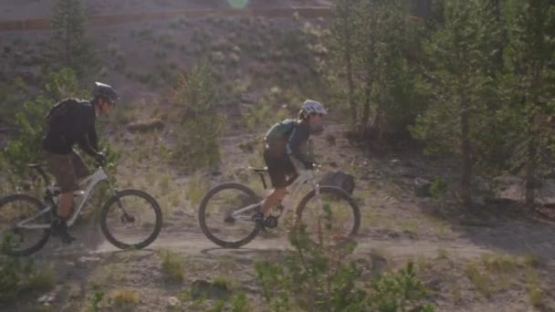 Mountain bikers ride through a forest — Stock Video