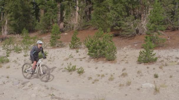 Rowerzystów górskich jeździć na drodze, w pobliżu lasu — Wideo stockowe