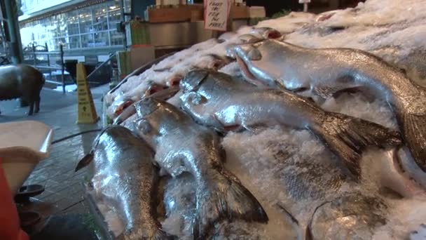 鱼市场卖新鲜的鱼. — 图库视频影像