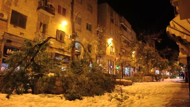 珍しい雪の落下に続く夜エルサレムに倒れた木 — ストック動画