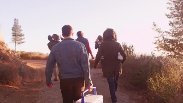 Een groep van vrienden wandelen tot een spoor aan een camping — Stockvideo