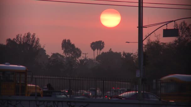 Egy ködös szmogos napon a Los Angeles-i Sunset. — Stock videók