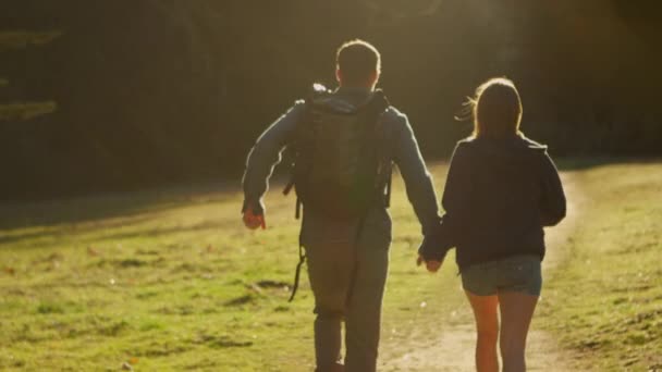 Egy pár fut kéz a kézben az erdő felé — Stock videók