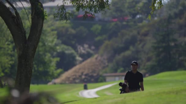 Un golfista lleva sus palos — Vídeo de stock