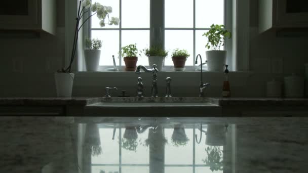 Plantas envasadas adornam uma janela e são refletidas na bancada em uma cozinha — Vídeo de Stock