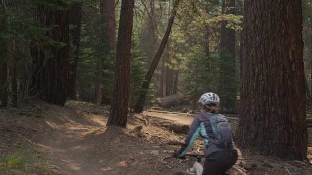 A mountain biker rides in a forest — Stock Video