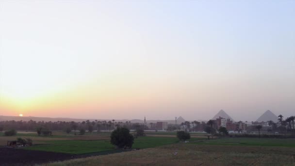 日没でエジプトのピラミッド — ストック動画