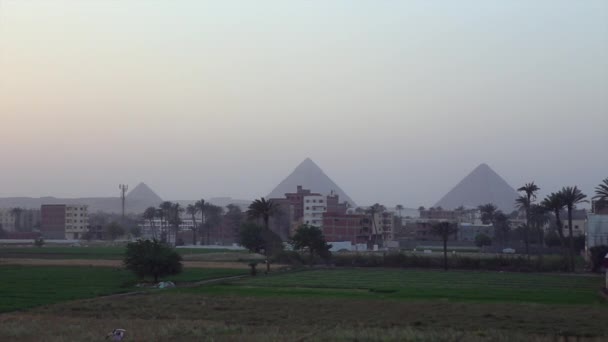 The pyramids of Egypt with Cairo skyline — Stock Video