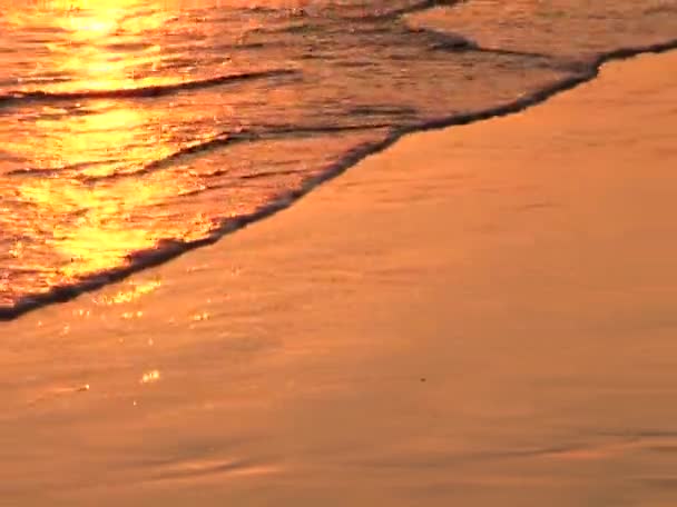 Ondas se lavam na costa — Vídeo de Stock