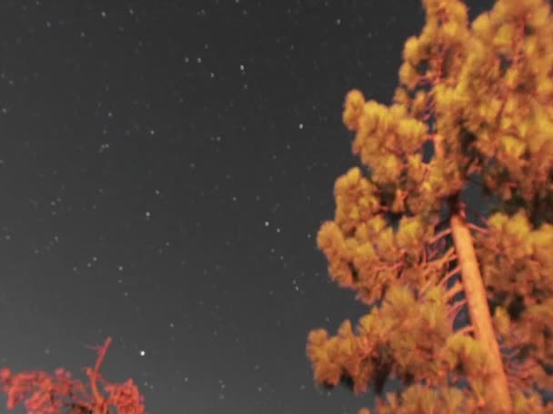 夜晚的星星移动的一天 — 图库视频影像