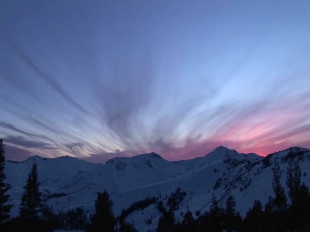 Hiker står vid en lägereld — Stockvideo