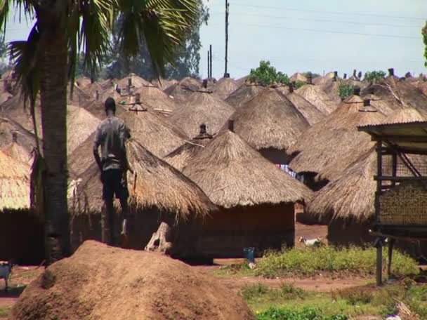 Hütten stehen in einem Flüchtlingslager — Stockvideo