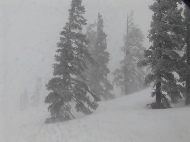 Camper pala nieve lejos — Vídeos de Stock