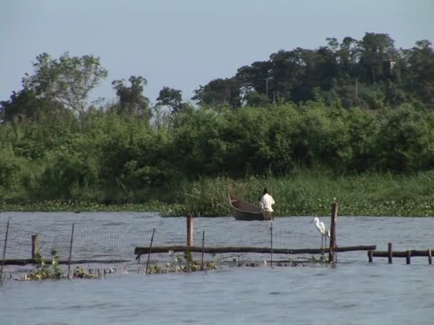 Ugandai Halász evezés a skiff — Stock videók