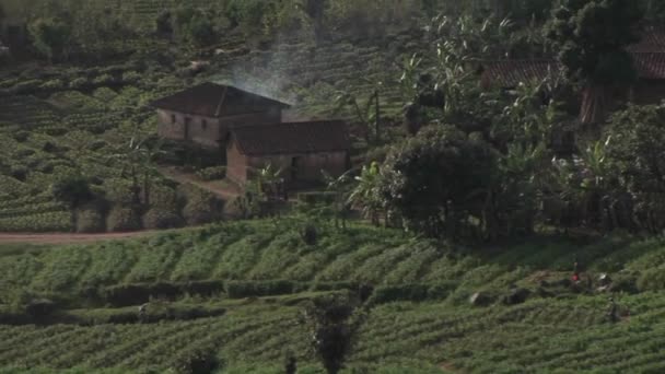 Agrarische gebouwen zitten op het gebied van landelijke Rwanda — Stockvideo