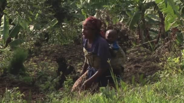 Afrikansk kvinde klatrer en grøn bakke med sin baby – Stock-video