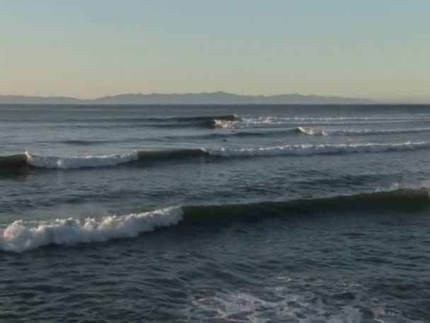 Sörfçü bir okyanus dalgalar binmek — Stok video