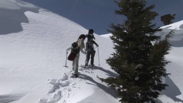 Pessoas com sapatos de neve a subir. — Vídeo de Stock