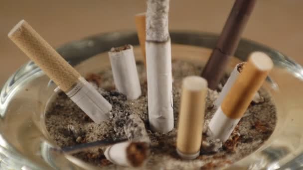 Cigarette burning among stubs — Stock Video