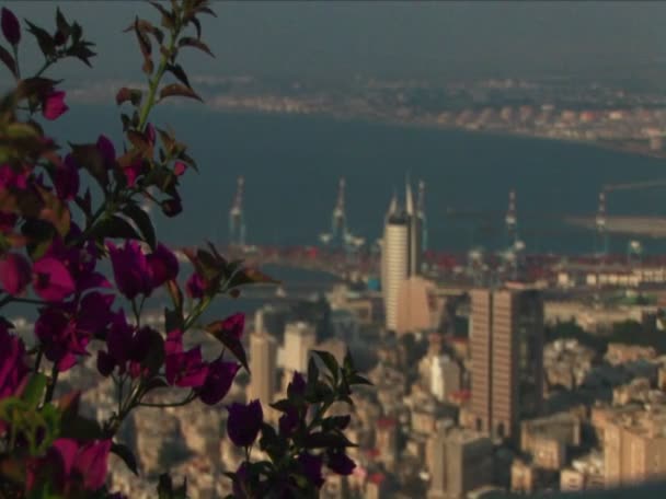 Haïfa en Israël avec le port au loin — Video